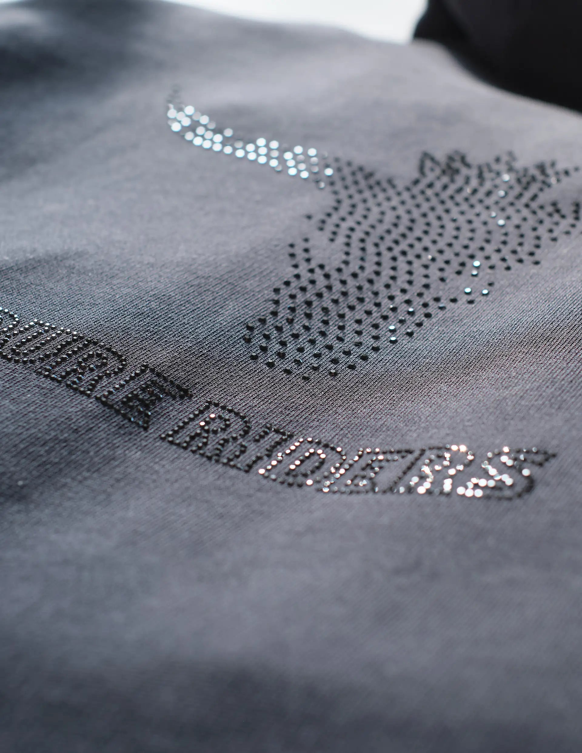 Image of PURE RIDERS - Queens Born Wild - Zipper Hoodie Black, Back